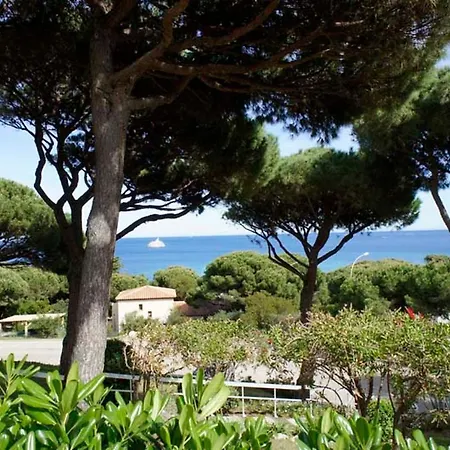 P-v N25 * Sainte-Maxime